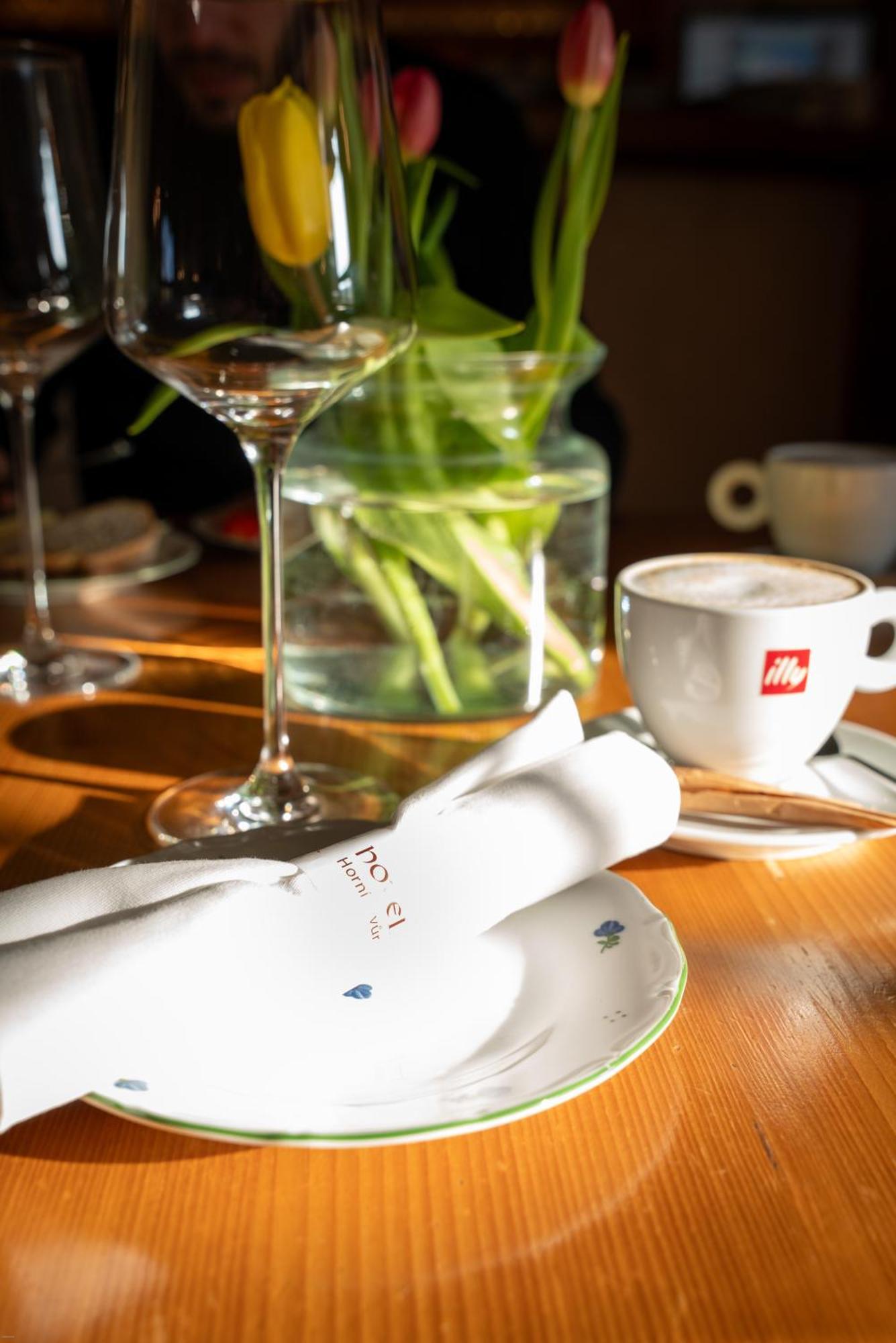 Hotel Horni Dvur Nove Mesto na Morave Zewnętrze zdjęcie