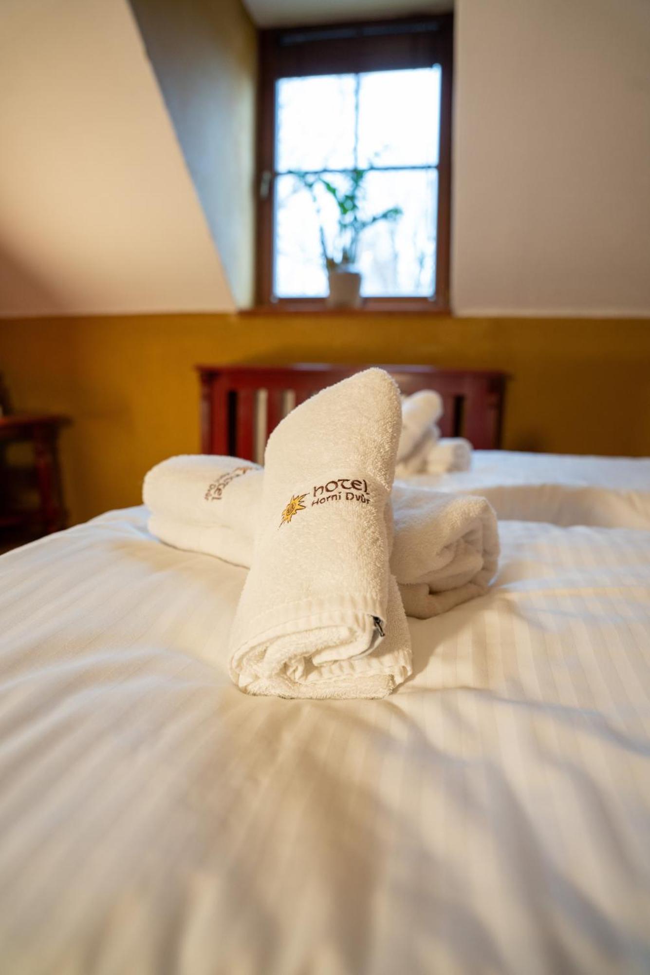 Hotel Horni Dvur Nove Mesto na Morave Zewnętrze zdjęcie